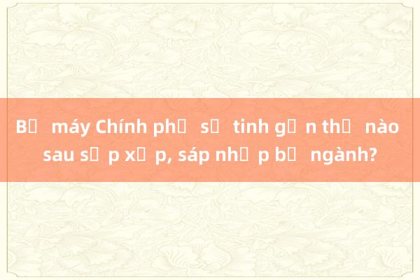 Bộ máy Chính phủ sẽ tinh gọn thế nào sau sắp xếp， sáp nhập bộ ngành?