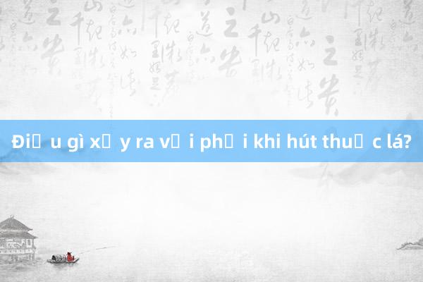 Điều gì xảy ra với phổi khi hút thuốc lá?