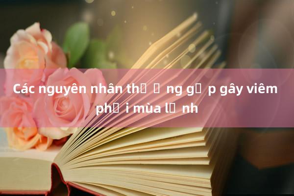 Các nguyên nhân thường gặp gây viêm phổi mùa lạnh