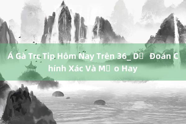 Á Gà Trc Tip Hôm Nay Trên 36_ Dự Đoán Chính Xác Và Mẹo Hay