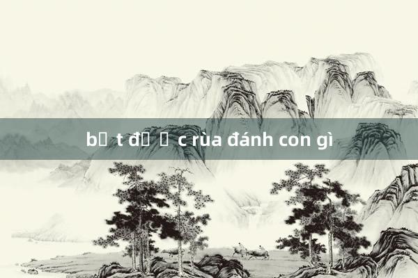 bắt được rùa đánh con gì