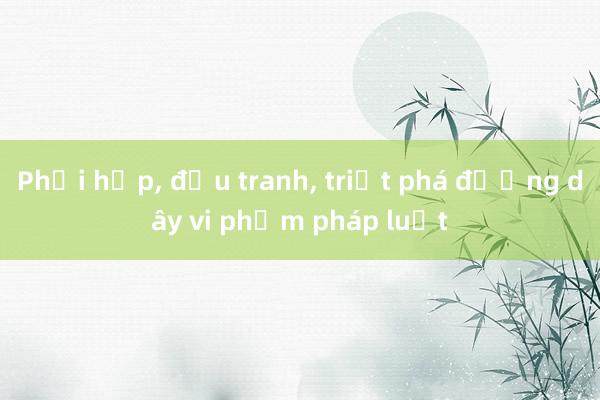 Phối hợp， đấu tranh， triệt phá đường dây vi phạm pháp luật 