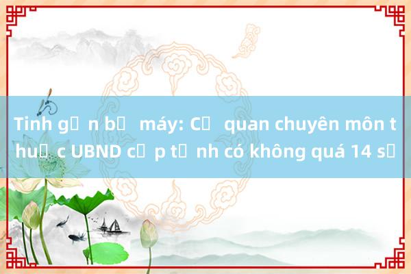 Tinh gọn bộ máy: Cơ quan chuyên môn thuộc UBND cấp tỉnh có không quá 14 sở