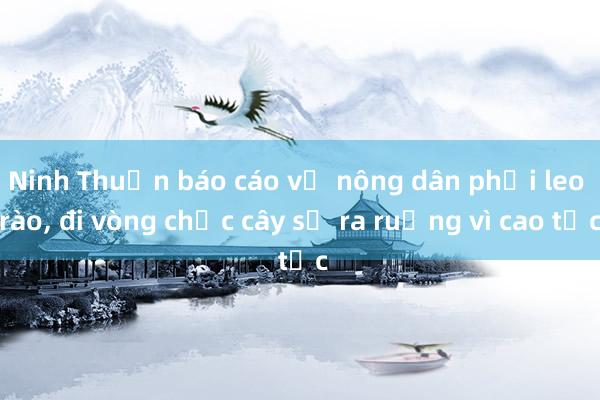 Ninh Thuận báo cáo vụ nông dân phải leo rào， đi vòng chục cây số ra ruộng vì cao tốc