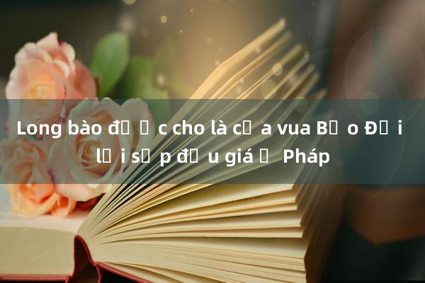 Long bào được cho là của vua Bảo Đại lại sắp đấu giá ở Pháp